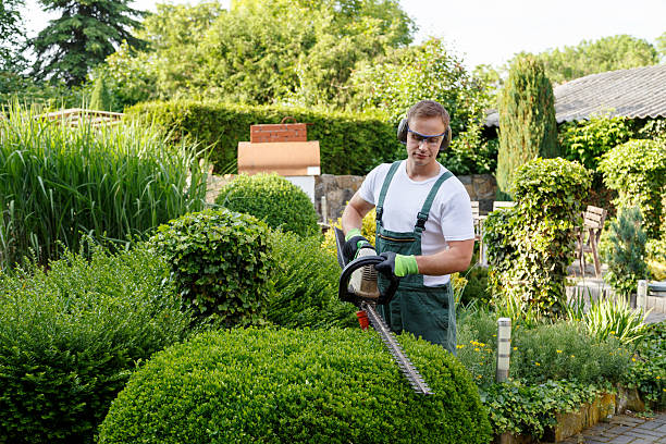 Best Emergency Tree Removal  in Prces Lakes, IN